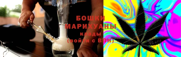 гидропоника Алзамай