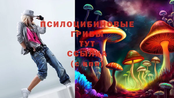 сатива Абинск