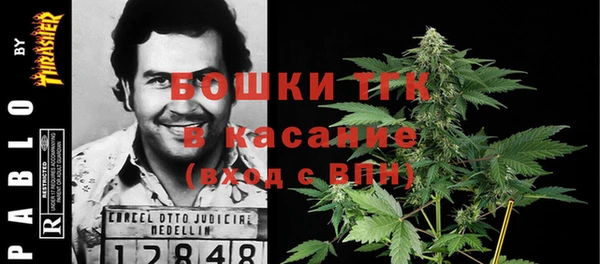 гидропоника Алзамай