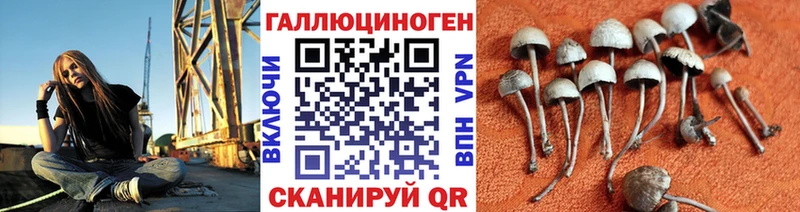 Галлюциногенные грибы Magic Shrooms блэк спрут сайт Кирсанов
